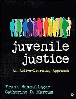 (PDF)Juvenile Justice An Active-Learning Approach 1st Edition