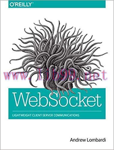 WebSocket: Lightweight Client-Server Communications 1st Edition,