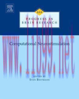 [AME]Computational Neurostimulation