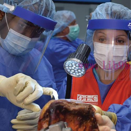 [AME]AAOS/ASES Anatomic and Reverse Total Shoulder Arthroplasty: Concepts and Techniques From_ ...