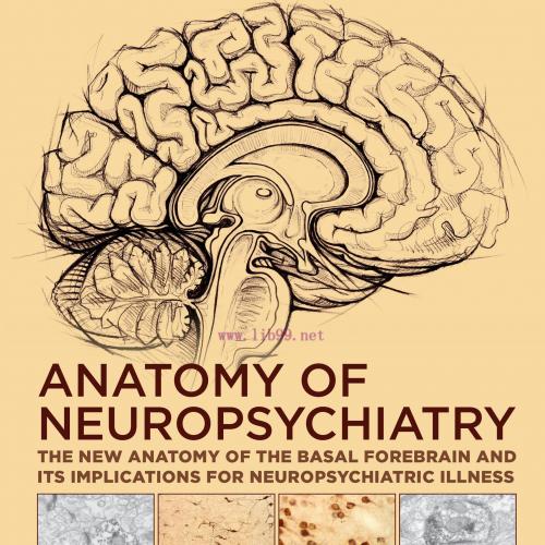 [AME]Anatomy of Neuropsychiatry: The New Anatomy of the Basal Forebrain and Its Implications fo...