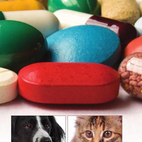 BSAVA Small Animal Formulary 9th Edition - Part A_ Canine and Feline - Ian Ramsey