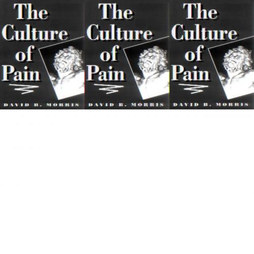 Culture of Pain, The - David B. Morris