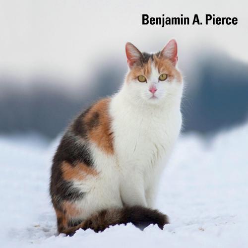 Genetics Essentials Concepts and Connections 4th by Benjamin A. Pierce - Vitalsource Download