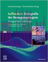 [AME]Aufbaukurs Sonografie der Bewegungsorgane: Sonografische Pathologie Entsprechend den Richt...