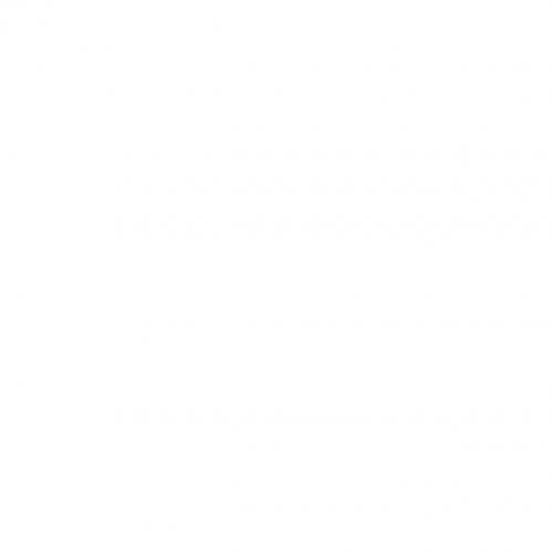 Atlas of Posterior Fundus Changes in Pathologic Myopia