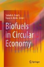 [PDF]Biofuels in Circular Economy