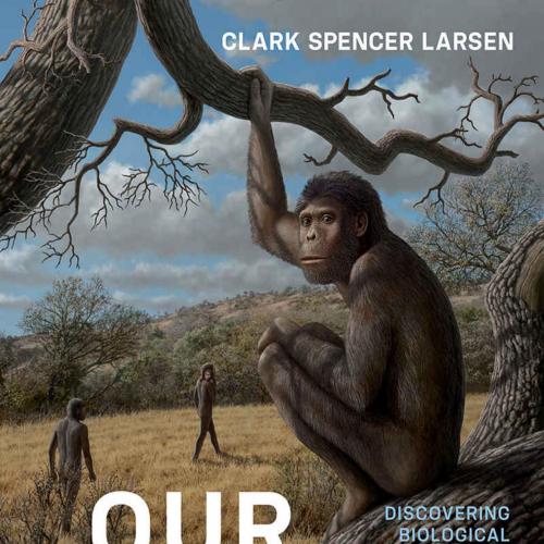 Our Origins 5th Edition - Clark Spencer Larsen