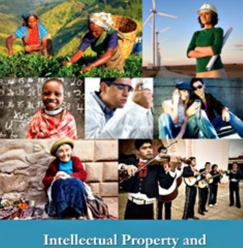 Intellectual Property and Human Development Current Trends and Future Scenarios