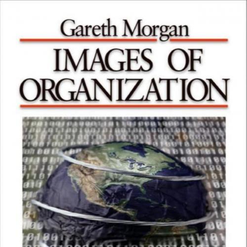 Images of Organization - Gareth Morgan