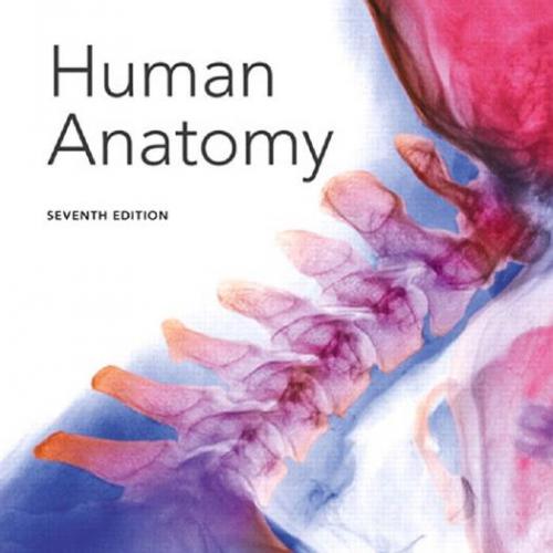 Human Anatomy 7th Edition by Elaine N. Marieb - Wei Zhi