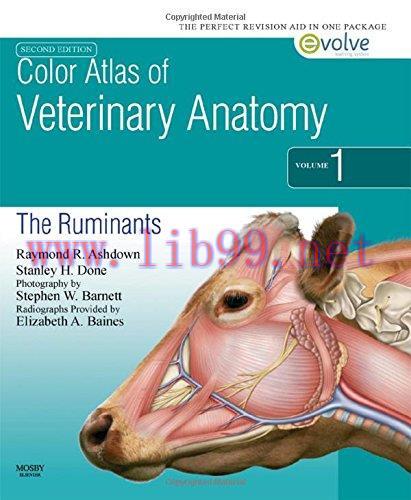 [AME]Color Atlas of Veterinary Anatomy, 2nd Edition, Volume 1, The Ruminants (Original PDF)
