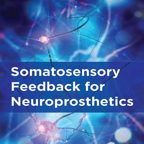 [AME]Somatosensory Feedback for Neuroprosthetics (EPUB)