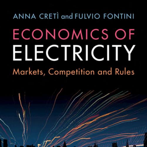 Economics of Electricity_ Markets, Competition and Rules