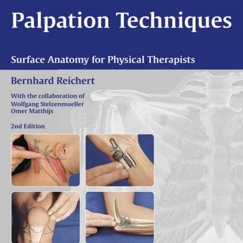 Palpation Techniques 2nd Edition