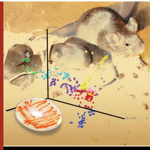 Handbook of Laboratory Animal Bacteriology,2nd Edition