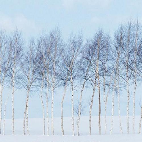 Elementary Linear Algebra - A Matrix Approach - Spence, Lawrence E_