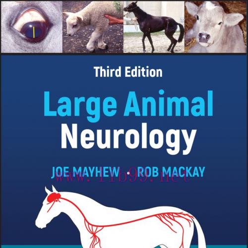 [AME]Large Animal Neurology, 3rd Edition (EPUB)