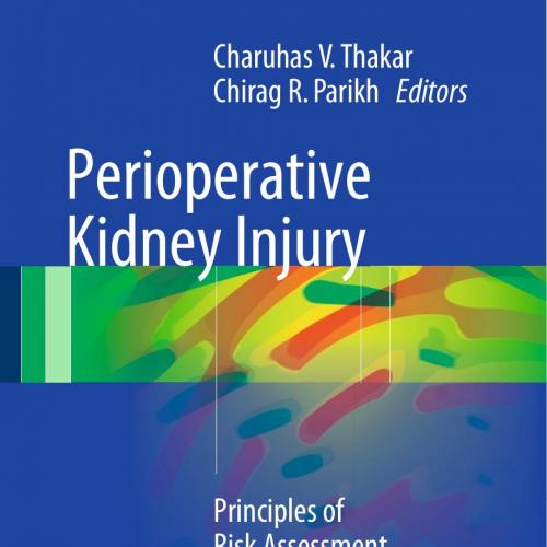 Perioperative Kidney Injury Principles of Risk Assessment, Diagnosis and Treatment