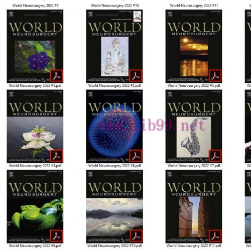 [AME]World Neurosurgery 2022 Full Archives (True PDF)