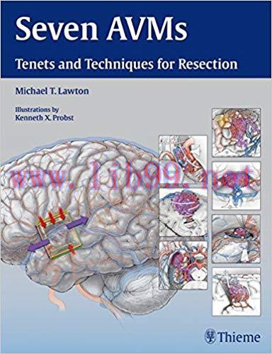 [PDF]Seven AVMs - Tenets and Techniques for Resection
