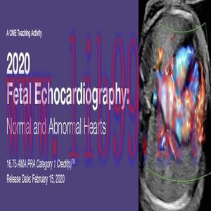 [AME]2020 Fetal Echocardiography Normal and Abnormal Hearts (CME VIDEOS)