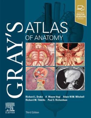 Gray&rsquo;s Atlas of Anatomy (Gray&rsquo;s Anatomy) 3rd Edition
