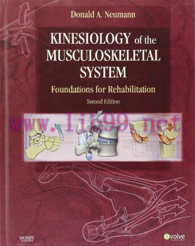 [AME]Kinesiology of the Musculoskeletal System: Foundations for Rehabilitation, 2nd Edition (Or...