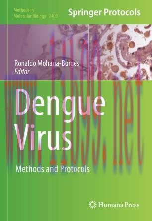 Dengue Virus