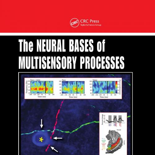 Neural Bases of Multisensory Processes, The
