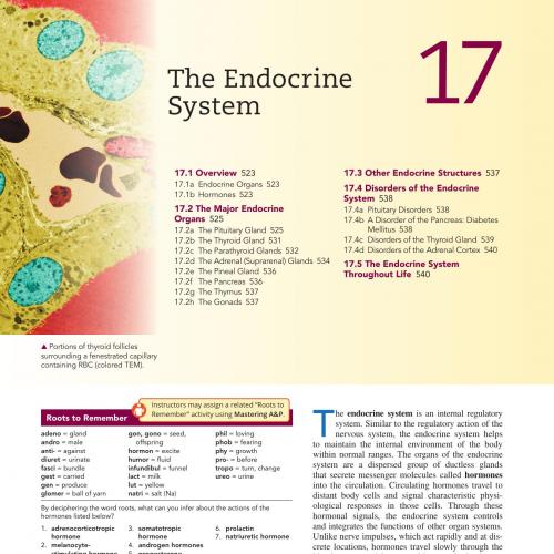 Human Anatomy 9th Edition by Elaine N. Marieb 160Yuan Xia Ban Bu Fen