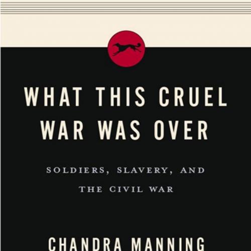 What This Cruel War Was Over - Manning, Chandra_