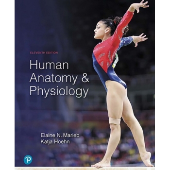 Human Anatomy and Physiology 11th