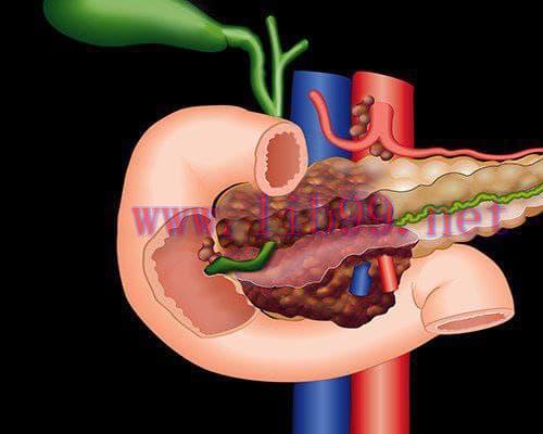 [AME]MRIOnline Imaging Mastery Series Pancreas Imaging 2021 (CME VIDEOS)