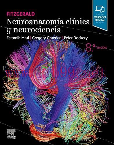 [AME]Fitzgerald. Neuroanatom&iacute;a cl&iacute;nica y neurociencia, 8th edition (Original PDF)