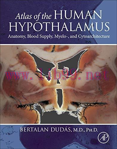 [AME]Atlas of the Human Hypothalamus: Anatomy, Blood Supply, Myelo-, and Cytoarchitecture (Orig...