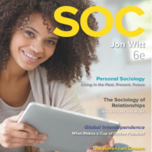 SOC 2020 6th Edition by Jon Witt - Wei Zhi