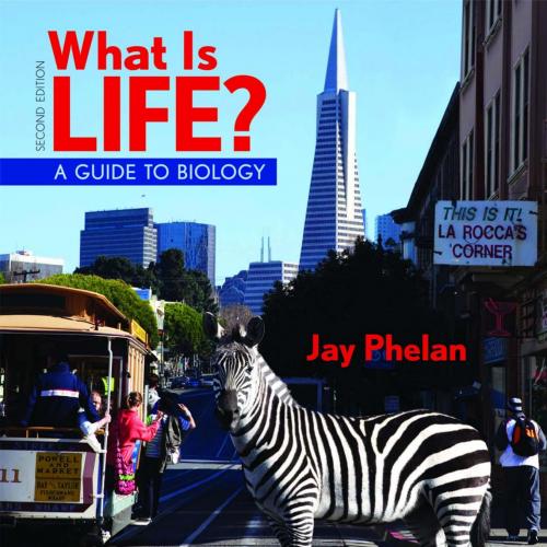 What Is Life A Guide to Biology 2nd edition