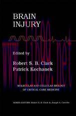 [PDF]Brain Injury
