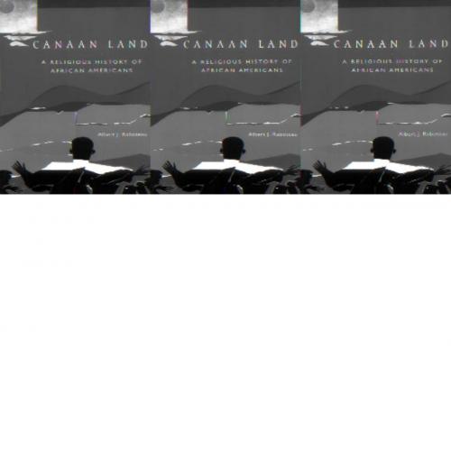 Canaan Land A Religious History of African Americans (Religion in American Life) - Albert J. Ra...