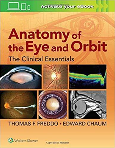 Anatomy of the Eye and Orbit