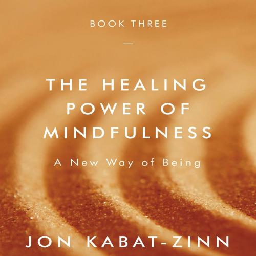 Healing Power of Mindfulness A New Way of Being 1th - Jon Kabat-Zinn, The