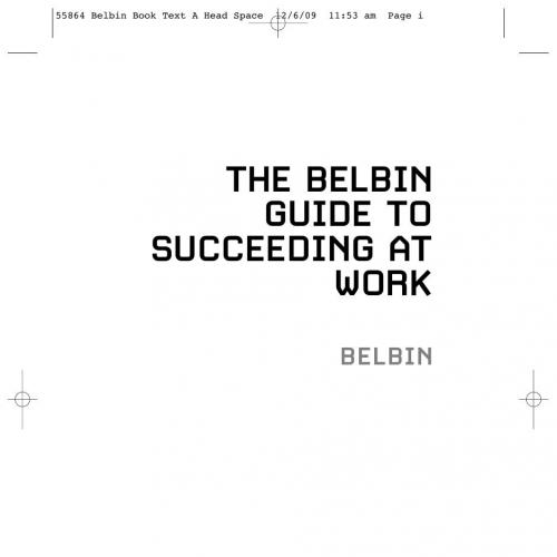 Belbin Guide to Succeeding at Work, The