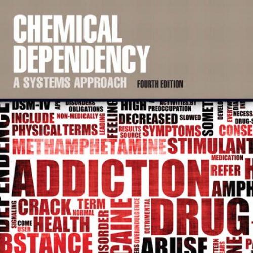 Chemical Dependency A Systems Approach 4th Edition