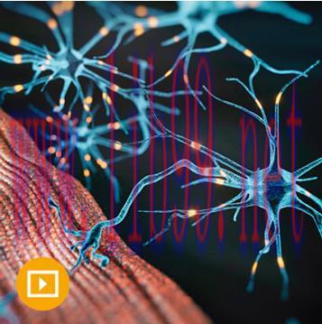 [AME]Electrodiagnostic Medicine and Neuromuscular Disorders 2023 (Videos)