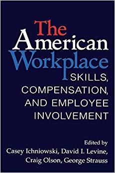 (PDF)The American Workplace Skills, Pay, and Employment Involvement (Cambridge Studies in Compa...