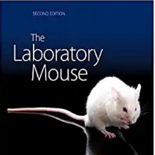 Laboratory Mouse 2nd, The - 4_8=8AB@0B_@