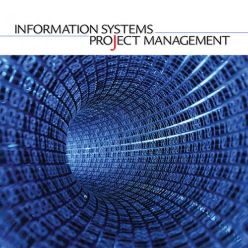 Information Systems Project Management - David Avison