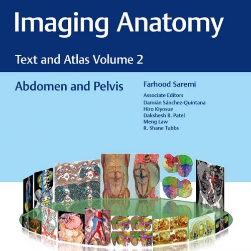 [AME]Imaging Anatomy: Text and Atlas Volume 2: Abdomen and Pelvis (Atlas of Imaging Anatomy) (E...