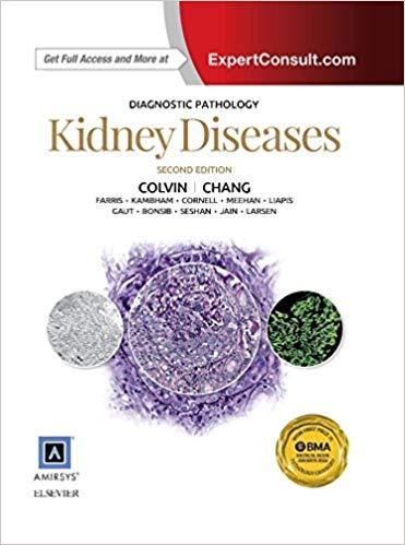 Diagnostic Pathology Kidney Diseases 2nd Edition